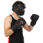 Перчатки боксерские кожаные FISTRAGE VL-4144 10-14унций цвета в ассортименте 21