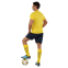 Форма футбольная комплект футболка и шорты Joma PHOENIX III 103124-903 4XS-XL желтый-темно-синий 11
