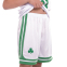 Форма баскетбольна дитяча NBA клуб Boston Celtics 11 BA-0967 S-2XL кольори в асортименті 8