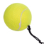 Тенісний м'яч на гумці Werkon Fight Ball 858 салатовий 0