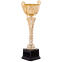 Кубок спортивный с ручками SP-Sport FEAST C-2060C высота 27см золотой 0