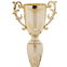 Кубок спортивний з ручками SP-Sport OLYMP HB4057A висота 45см золотий 1