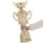 Кубок спортивный с ручками и крышкой SP-Sport ARES HB4127B высота 47см золотой 2