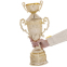 Кубок спортивный с ручками и крышкой SP-Sport ARES HB4127C высота 41см золотой 2