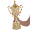 Кубок спортивный с ручками и крышкой SP-Sport REWARD HB4112B высота 41см золотой 2