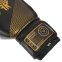Перчатки боксерские кожаные FISTRAGE VL-4145 10-14унций цвета в ассортименте 2