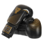 Перчатки боксерские кожаные FISTRAGE VL-4145 10-14унций цвета в ассортименте 4