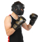 Перчатки боксерские кожаные FISTRAGE VL-4145 10-14унций цвета в ассортименте 6
