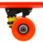 Пенні борд Penny Board круїзер пластиковий 22" FISH COLOR SK-402-12 червоний-чорний-зелений 5