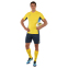 Форма футбольная комплект футболка и шорты Joma DANUBIO II 103213-903 4XS-XL желтый-темно-синий 10