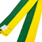 Пояс для кімоно двокольоровий SP-Planeta BO-7256 довжина 220-280см жовтий-зелений 1