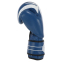 Боксерські рукавиці шкіряні FISTRAGE VL-4155 10-14унцій кольори в асортименті 1