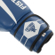 Боксерські рукавиці шкіряні FISTRAGE VL-4155 10-14унцій кольори в асортименті 2