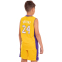 Форма баскетбольная детская NB-Sport NBA HOUSTON, MIAMI CO-0038 M-XL S-2XL цвета в ассортименте 21