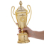 Кубок спортивный с ручками и крышкой SP-Sport FAVOURITE HB4002B высота 35см золотой 2