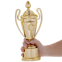 Кубок спортивный с ручками и крышкой SP-Sport FAVOURITE HB4002C высота 28см золотой 2