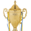 Кубок спортивный с ручками и крышкой SP-Sport CARVED QY078A высота 49см золотой 1
