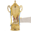 Кубок спортивный с ручками и крышкой SP-Sport CARVED QY078A высота 49см золотой 2