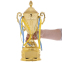 Кубок спортивный с ручками и крышкой SP-Sport CARVED QY078C высота 37см золотой 2