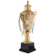 Кубок спортивный с ручками и крышкой SP-Sport HEIGHT G104A высота 54см золотой 1
