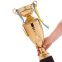Кубок спортивний з кришкою і чашею SP-Sport CUP C-1505C висота 44см золотий 2