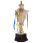 Кубок спортивний з ручками і кришкою SP-Sport FAIRY G108A висота 55см золотий 0