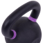 Гиря чугунная окрашенная Zelart TA-3638-20 вес 20кг черная черный-фиолетовый 3