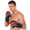 Перчатки боксерские HARD TOUCH BO-00125 10-14 унций цвета в ассортименте 20