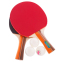 Набор для настольного тенниса BUT ADDOY SERIES B-206 (B-2000) 2 ракетки 3 мяча чехол 0