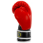 Перчатки боксерские профессиональные на липучке кожаные ФБУ BOXER Profi BO-2001 10-12унций цвета в ассортименте 2
