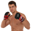 Рукавиці для змішаних єдиноборств MMA TWINS GGL-4 M-XL кольори в асортименті 5