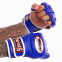 Перчатки для смешанных единоборств MMA кожаные TWINS GGL-6 M-XL цвета в ассортименте 5