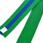 Пояс для кимоно двухцветный SP-Planeta BO-7263 длина-220-280см зеленый-синий 1