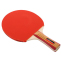 Набор для настольного тенниса WEINIXUN MT-2107 2 ракетки 4 мяча 3