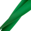Резинка для вправ стрічка опору LOOP BANDS Zelart FI-2596-XH зелений 1