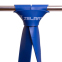 Резина петля для подтягиваний и тренировок лента силовая Zelart POWER LOOP FI-2606-5 27-68кг синий 10