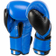Рукавиці боксерські на липучці шкіряні HARD TOUCH BO-7376 10-14унцій кольори в асортименті 11