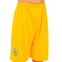 Форма футбольная детская с символикой сборной УКРАИНА 2019 SP-Sport CO-8173 XS-XL желтый 1