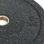 Блины (диски) бамперные для кроссфита Record RAGGY Bumper Plates TA-5126-5 51мм 5кг черный 0