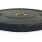 Диски (млинці) бамперні для кросфіту Record RAGGY Bumper Plates TA-5126-5 51мм 5кг чорний 1