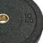 Диски (блини) бамперні для кросфіту Record RAGGY Bumper Plates TA-5126-10 51 мм 10кг чорний 0