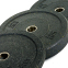 Блины (диски) бамперные для кроссфита Record RAGGY Bumper Plates TA-5126-10 51 мм 10кг черный 2