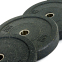 Блины (диски) бамперные для кроссфита Record RAGGY Bumper Plates TA-5126-15 51мм 15кг черный 2
