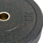 Диски (блини) бамперні для кросфіту Record RAGGY Bumper Plates TA-5126-25 51мм 25кг чорний чорний 0