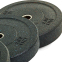 Блины (диски) бамперные для кроссфита Record RAGGY Bumper Plates TA-5126-25 51мм 25кг черный черный 2