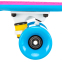 Пенни борд Penny Board круизер пластиковый RUBBER 22" RUBBER SOFT FISH SK-410-2 розовый-голубой 5
