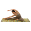 Коврик для йоги Льняной (Yoga mat) Record FI-7157-5 размер 183x61x0,3см принт Птицы бежевый 8