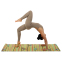 Коврик для йоги Льняной (Yoga mat) Record FI-7157-5 размер 183x61x0,3см принт Птицы бежевый 9