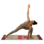 Коврик для йоги Льняной (Yoga mat) Record FI-7157-7 размер 183x61x0,3см принт Сакура бежевый 8