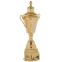 Кубок спортивний з ручками і кришкою SP-Sport JOY XB107C висота 41см золотий 0